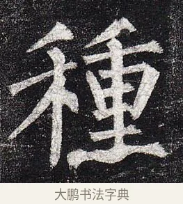 種 · 柳公权 · 楷书（书体参考） · 玄秘塔碑 · 第 16 页
