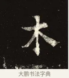 木 · 佚名 · 魏碑（书体参考） · 张黑女墓志 · 第 11 页