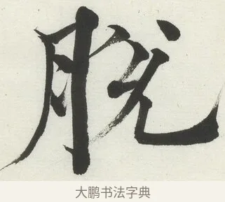 脫 · 何绍基 · 楷书（书体参考） · 楷书临道因碑（下） · 第 23 页