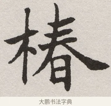 椿 · 沈尹默 · 楷书（书体参考） · 孙蕉轩九十大寿册页 · 第 36 页