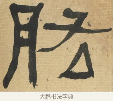 肱 · 何绍基 · 隶书（书体参考） · 隶书临张迁碑（1862年百通本） · 第 11 页