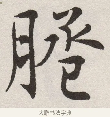 脯 · 沈尹默 · 楷书（书体参考） · 孙蕉轩九十大寿册页 · 第 5 页